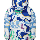 GLACİER PUFF JACKET